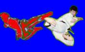 header image 2